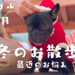 [冬のお散歩]犬のしつけ/フード/給与量表示