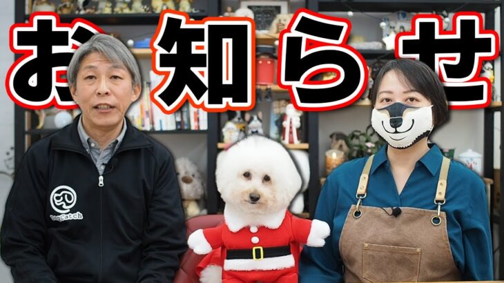 【犬のしつけ】イベントのお知らせです。ワンとワンダークリスマス