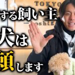 愛犬から信頼される飼い主の基本スキルはコレです10選