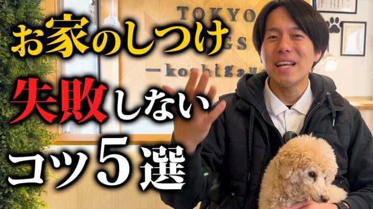 飼い主が知らずにやっている…⁈家での犬のしつけ失敗5選