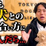 愛犬との向き合い方やしつけで悩んだことがある人へ。改善のコツ5選