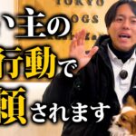 コレできてたら優秀！愛犬から信頼される飼い主の特徴5選