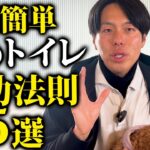 コレだけやって！犬のトイレしつけ成功法則5選