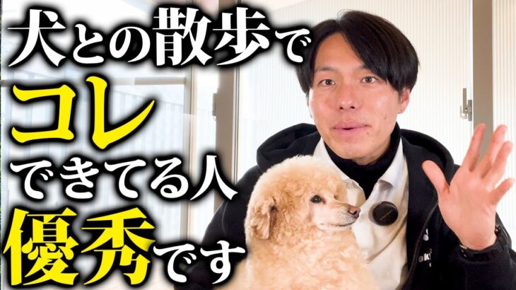 知らなきゃ損！スムーズに犬とのお散歩に行くための基本しつけ5選