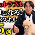 知らないとヤバい…愛犬の散歩のトラブルをゼロにする！基本しつけ5選