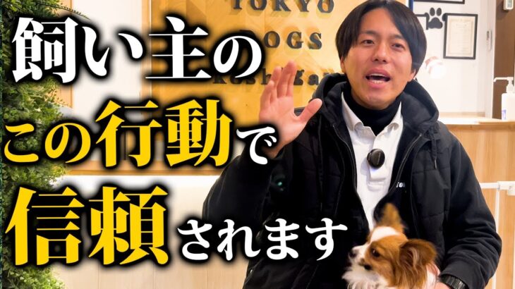 コレできてたら優秀！愛犬から信頼される飼い主の特徴5選