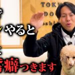 犬に興奮癖がつきやすい飼い主の特徴6選【ドッグトレーナー解説】