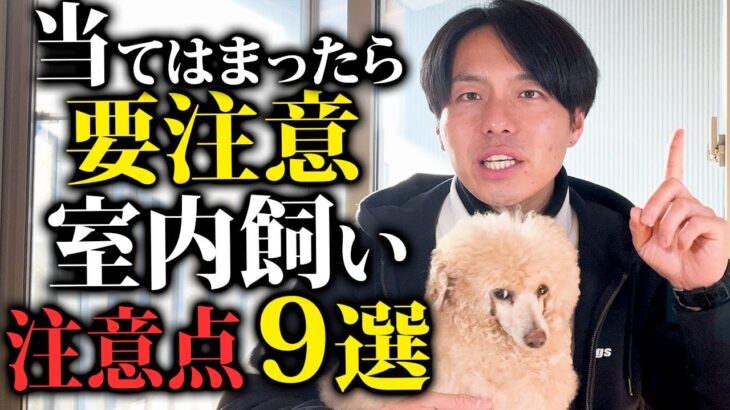 あなたは大丈夫⁈室内飼いの注意点9選