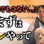 9割が間違ってる⁈愛犬の正しい呼びもどしのしつけ法5選