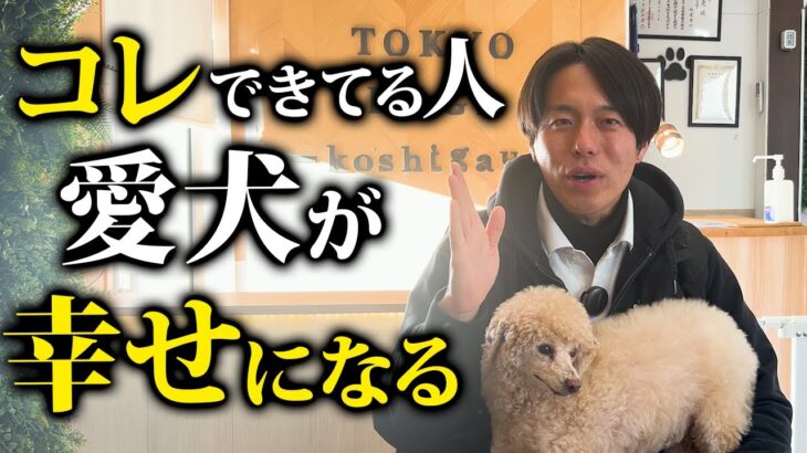 愛犬が幸せになる飼い主の特徴TOP5