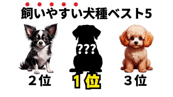 【犬の雑学】初心者が絶対に失敗しない犬種ランキングTOP5！アパート暮らしでも大丈夫