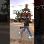 噛まない犬に躾してくださいって？　#shorts