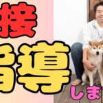 【お待たせしました】大切なお知らせ！【犬しつけ】【あけおめ】