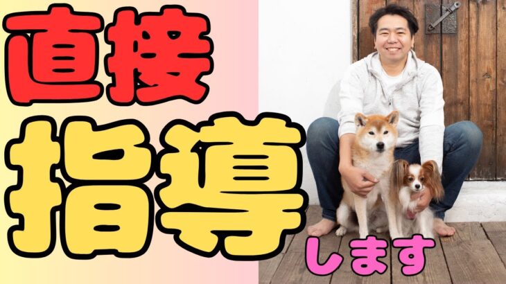 【お待たせしました】大切なお知らせ！【犬しつけ】【あけおめ】