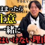 犬と一緒に寝るメリットと注意点をドッグトレーナーが解説