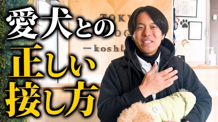 みんな間違ってる…⁈愛犬との正しいコミュニケーションのとり方をドッグトレーナーが解説