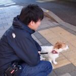 犬の幼稚園 ルディくんとトレーニング