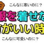 【犬 防寒対策 洋服】愛犬の寒いですメッセージ！洋服を着せた方がいい時！着せない方がいい時！犬のしつけエマチャンネル【犬のしつけ＠横浜】