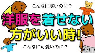 【犬 防寒対策 洋服】愛犬の寒いですメッセージ！洋服を着せた方がいい時！着せない方がいい時！犬のしつけエマチャンネル【犬のしつけ＠横浜】