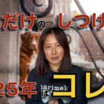 【海外で再注目！】褒めるだけのしつけは最早時代遅れ！柔軟に対応できる犬の心理に基づくしつけ方法について解説