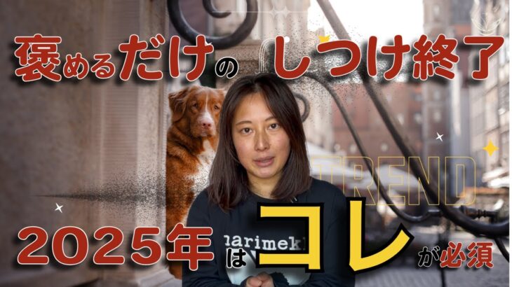 【海外で再注目！】褒めるだけのしつけは最早時代遅れ！柔軟に対応できる犬の心理に基づくしつけ方法について解説