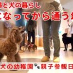 【犬のしつけ】少しは賢くなった？皆の前で必死になるのは飼い主でした😅