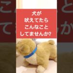 【重要】木を見て森を見ず #ドッグトレーニング #ドッグトレーナー #犬のトレーニング #犬のしつけ #犬のいる生活 #犬吠える #犬の吠え #問題行動 #大型犬 #小型犬 #中型犬 #しつけ