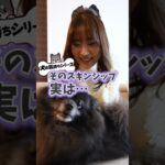 【 犬の気持ち 】お腹を撫でられるより喜ぶ？ ワンちゃん が リラックス する スキンシップ ！ 〔 犬 ペット ペットしつけ 〕