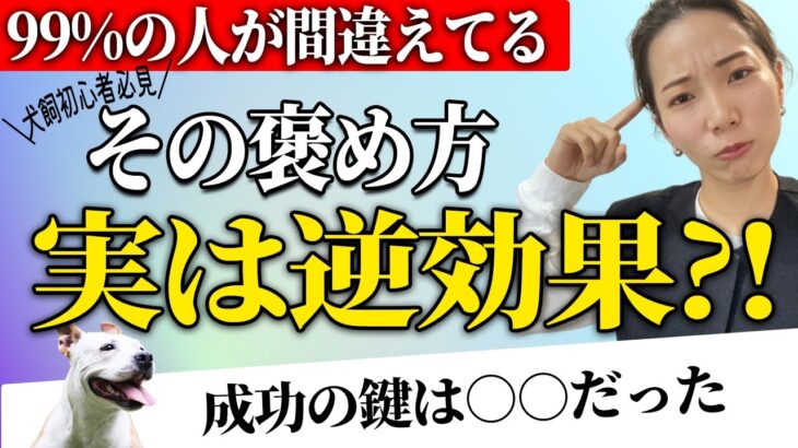 犬を迎えたらこのしつけだけは覚えてください