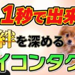 犬のしつけに必須！愛犬との絆が劇的に深まるアイコンタクトの魔法♪