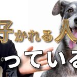 【犬 しつけ】しつけがスムーズにいく！犬に好かれる人のスキルについてご紹介