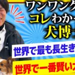 【新企画】一問一答ワンワントリビア【プロドッグトレーナーが語る雑学】