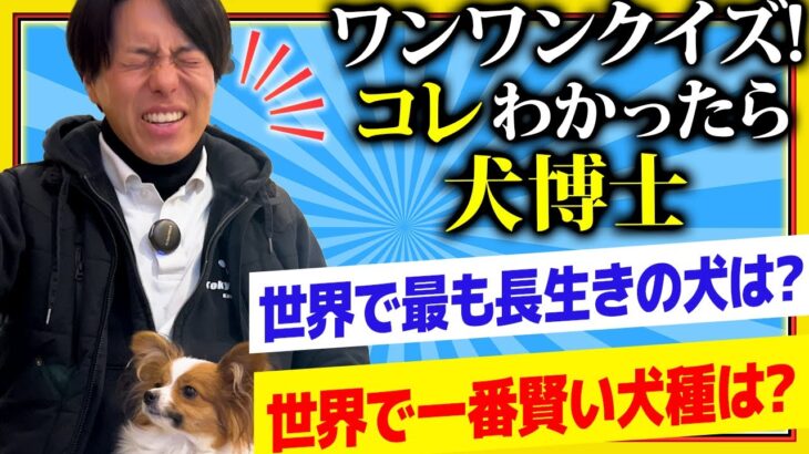 【新企画】一問一答ワンワントリビア【プロドッグトレーナーが語る雑学】