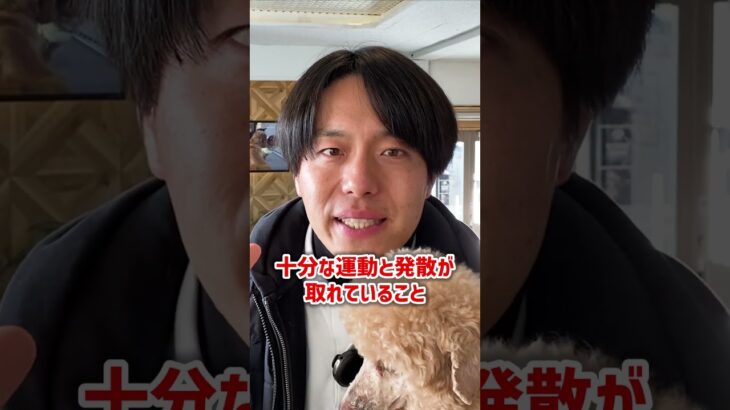 犬の問題行動が少ない家族の共通点