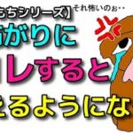 【犬 無駄吠え しつけ】コレやりがち！怖がりにすると吠えるようになります！犬のしつけエマチャンネル【犬のしつけ＠横浜】