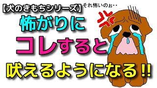 【犬 無駄吠え しつけ】コレやりがち！怖がりにすると吠えるようになります！犬のしつけエマチャンネル【犬のしつけ＠横浜】