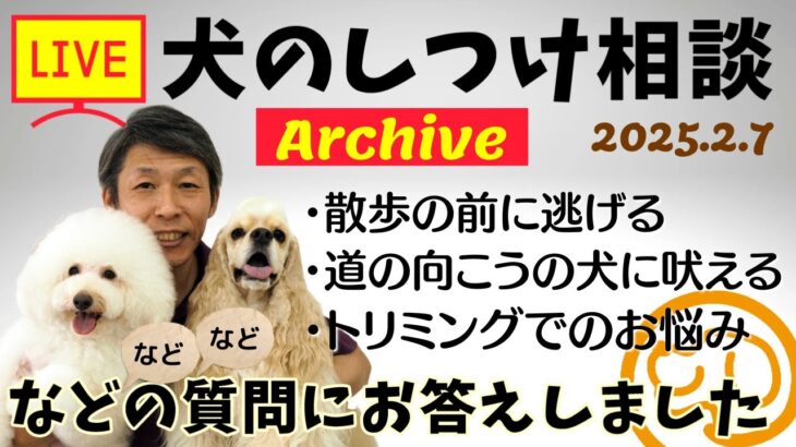 犬のしつけ相談ライブ☆ゲリラライブ【アーカイブ 2025/02/07】