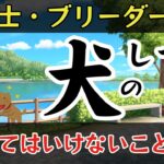 「犬」のしつけでやってはいけないこと5選Part1【ゆっくり解説】