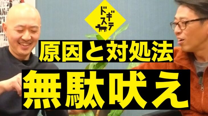 無駄吠えの原因と対処法について考える ：DOGGY STATION/犬のしつけ・問題行動・犬の心理学・犬の行動学・ドッグビヘイビアリスト