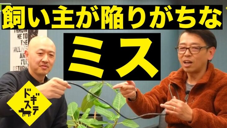 飼い主が陥りがちなミス３点：DOGGY STATION/犬のしつけ・問題行動・犬の心理学・犬の行動学・ドッグビヘイビアリスト