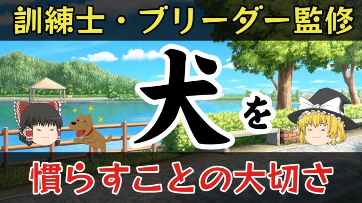 「犬」を慣らす事の大切さ【ゆっくり解説】