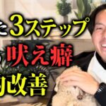 【犬しつけ】たった３ステップ！愛犬の吠え癖が劇的改善します！【プロドッグトレーナー解説】