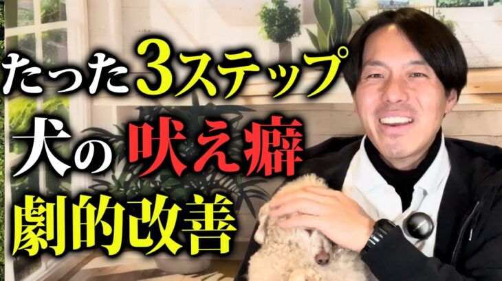 【犬しつけ】たった３ステップ！愛犬の吠え癖が劇的改善します！【プロドッグトレーナー解説】