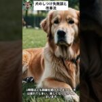 犬のしつけ失敗談と改善法