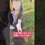 吠える・唸る・噛む犬がこんなに変わった！