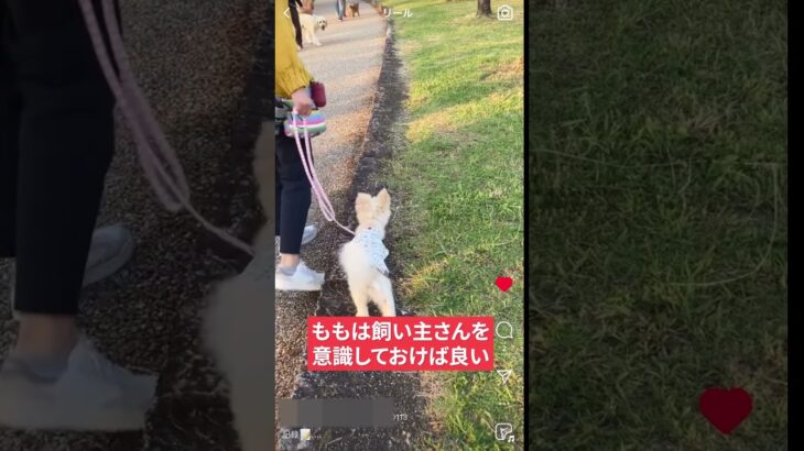 吠える・唸る・噛む犬がこんなに変わった！