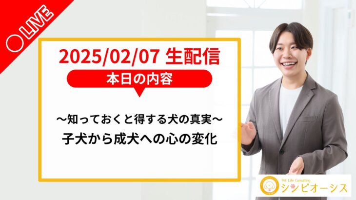 【生配信】子犬から成犬への心の変化