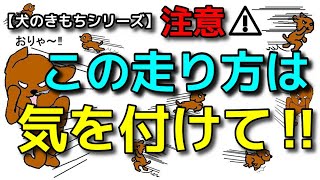 【犬 ドッグラン 犬のきもち】走り方で犬の気持ちわかります！犬のしつけエマチャンネル【犬のしつけ＠横浜】