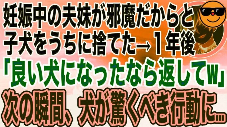 【スカッとする話】妊娠が発覚したコトメ「この犬邪魔だからあんたが処分してw」→出産後、しつけられた犬を見て取り戻しに来たが、自業自得の天罰が下って爆笑wwwww