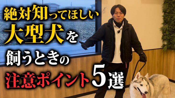 【しつけ】大型犬を飼うときの注意点はコレ！絶対知って欲しい5つのポイント！